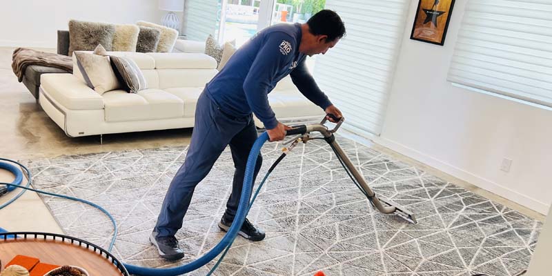 You are currently viewing Carpet Cleaning