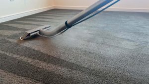 Hot Water Extraction - Carpet Cleaning - Palm Springs CA