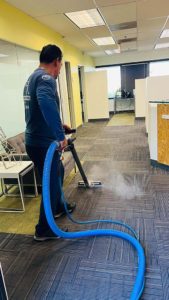 PRO Carpet Cleaning